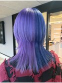 【林】PURPLE×BLUEのツートンカラー！