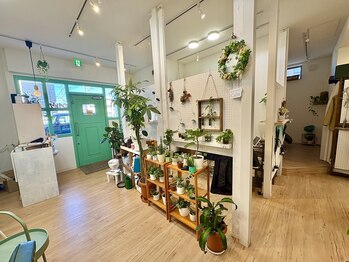 髪質改善 個室美容室 calm 新田 美容院【カルム】