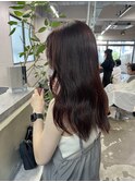 【TALO】レッドブラウン