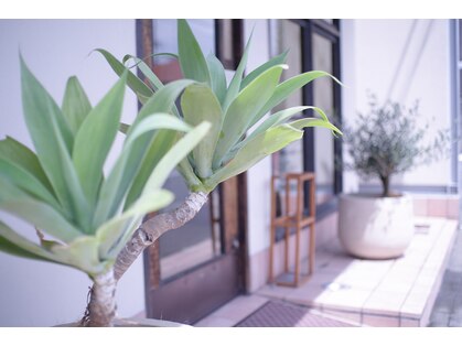 ココティ 北大路(COCOTEA)の写真