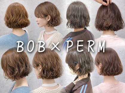 アサクラ シンキタ(ASAKURA SHINKITA)の写真