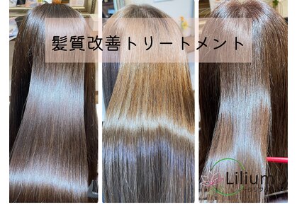 リリウム(Lilium)の写真