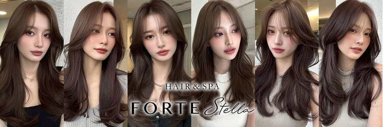 フォルテステラ(FORTE STELLA)のサロンヘッダー