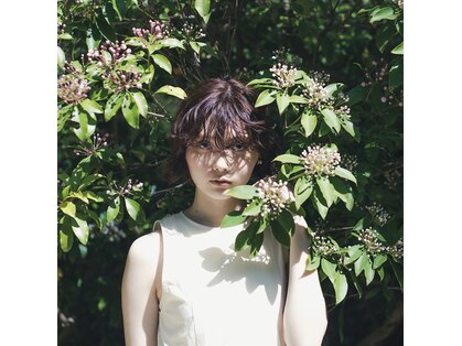 シー(si)の写真