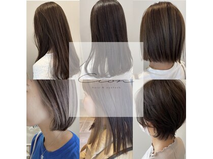 シオン(Cion)の写真