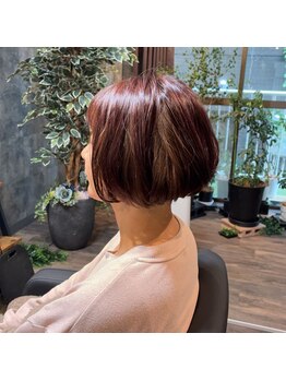 木陰のヘアクラフト(木陰のhair craft)の写真/どんなStyleが似合うかわからない…要望を伝えるのが苦手…そんなお客様に寄り添い、魅力を引き出します◎