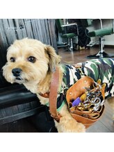 ナチュラリズムワイ(naturalism Y)&nbsp;オーナー オーナー