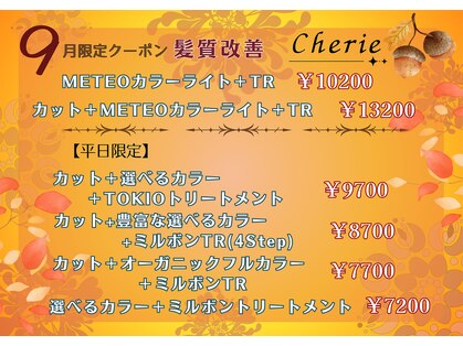 シェリー(Cherie)の写真