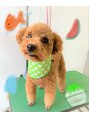 クララ ヒタチナカ(CLALA Hitachinaka)&nbsp;うちの愛犬ぷぅ-ちゃん。７歳