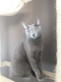 グラン(Gran)&nbsp;愛猫のゴローさんです。私の癒しです(^ ^)