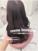 ココアブラウン