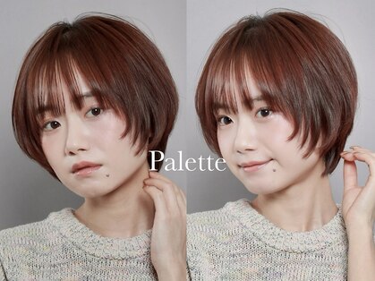 パレット(PALETTE)の写真