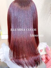 イルミナカラーブロッサムピンク美髪艶々髪質改善カラー韓国風