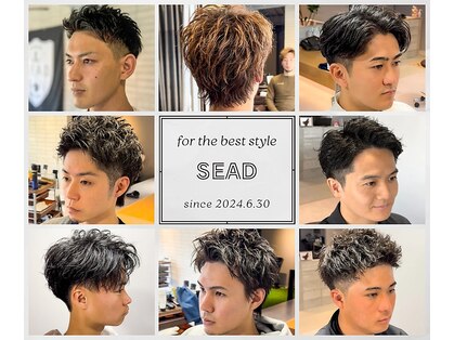 シード(SEAD)の写真