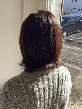 ジッピー(Zippy) 扱いやすいカット