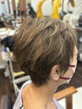 シーズンプラス(SEASON PLUS) 白髪染めショート3Dカラーアッシュ【SEASON+ 野入】 ver5C