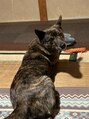 キキ 十日市店 kiki 実家で犬を飼っています！ちなみに甲斐犬です！