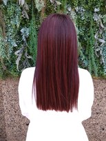 ノーブルヘアー(NOBLE HAIR) レッドカラー