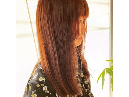 レンズ(LENS)の写真