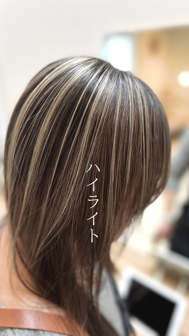 Hair Reformer ヘアリフォーマー リフォーマーシリーズ | 環境保全研究所