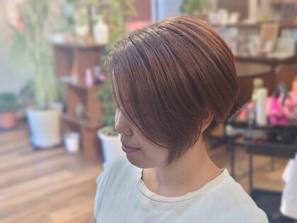 ヘアーサロン たんぽぽの写真
