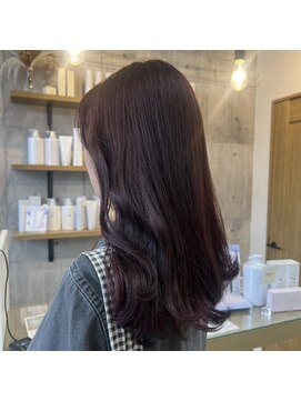 サネリ(Saneli) ボルドーカラー