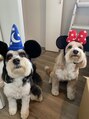 バレーチェア(valley chair)&nbsp;うちのワンちゃん「コスプレ」