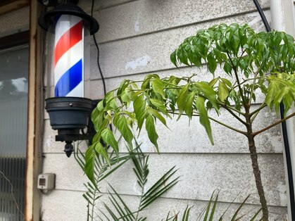 レアヘアー(Lea hair)の写真