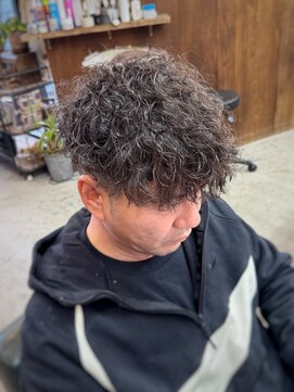 ロルド シェリ(Rold Cheri) 【山本智文】大人男髪スペインカール