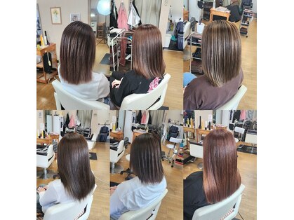 シャルシェ(Chercher)の写真