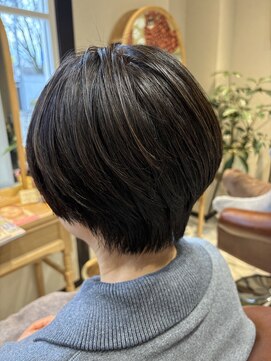 コーシェリ(Koselig) ショート