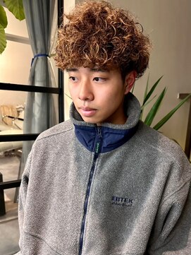 ヴヴ(Bub) men's perm / プードルパーマ　ハイライトカラー