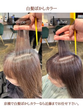 ステラ(STeLLa) １【白髪ぼかし】40・50代　白髪ぼかしカラー