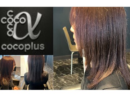 ココプラスアルファ(COCO+α)の写真