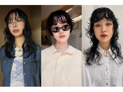 タヨル(tayor)の写真