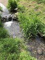 プラタナス 国分寺北口店(PLATANUS)&nbsp;地元は清瀬市♪/国分寺/髪質改善/美髪縮毛矯正/白髪ぼかし