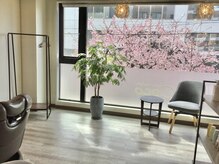 ココ(Coco)の雰囲気（窓一面の河津桜は贅沢な癒し）