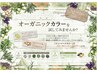 【当日限定】オーガニックカラー白髪染め根本３cmまで＋炭酸シャンプー