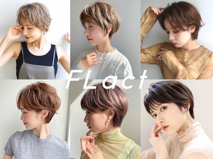 フラクト(FLact)の写真