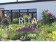 リタ(RiTA)の写真