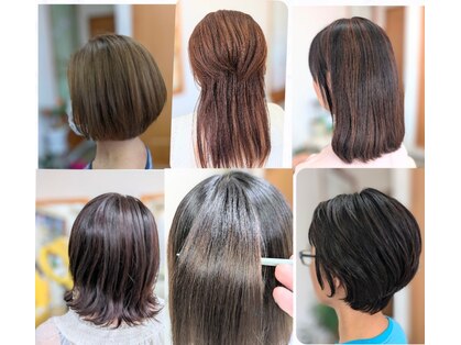 フォルツァの写真