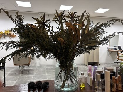 カタチヤマガタ(katachi yamagata)の写真