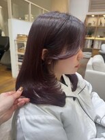 バイオレット ナゴヤ(Violet Nagoya) カシスレッド 暖色カラー バーガンディカラー レイヤー HR-204