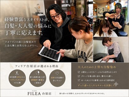 フィリア 台原店(Filea)の写真