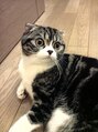ルーラ ヘアー(RULA hair) スコティシュフォールド飼ってます☆