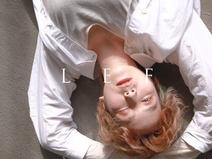 レフ(LEF)の写真