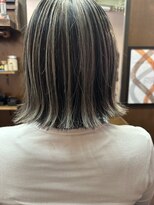 ゼニス(Zenith)&nbsp;ハイライトカラー