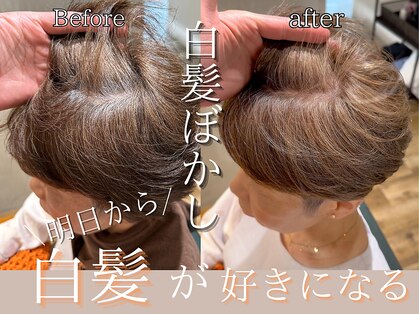 ハロー 池田店(Hollow)の写真