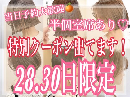 オレンジ(orange)の写真