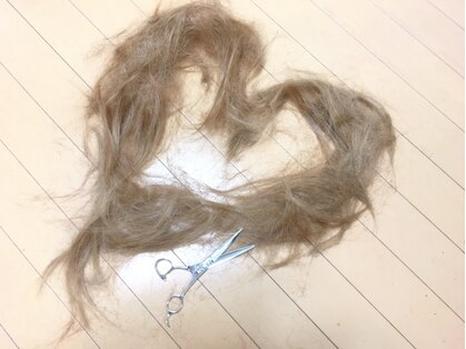 トリート(TREAT 101)の写真